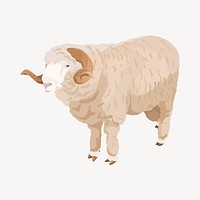 Ram animal illustration, bighorn sheep clipart vector