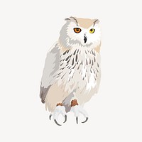 Owl illustration clipart, bird vector