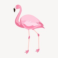 Pink flamingo illustration, animal clipart psd
