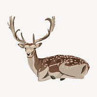 Wild deer illustration, wild animal illustration vector