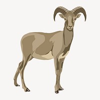 Mountain goat illustration, wild animal clipart vector