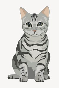Cute kitten pet, American shorthair, animal illustration vector