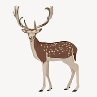 Wild deer illustration, wild animal illustration vector