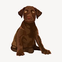 Labrador puppy, dog illustration psd