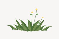 Nature element illustration, flower in green grass vector
