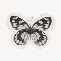 Black butterfly collage element, torn paper design psd