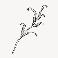 Leaf, botanical line art design