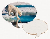 Climate change paper speech bubble, polar bear stepping on ice image