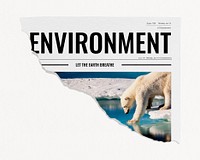 Environment ripped newspaper, polar bear walking on ice image