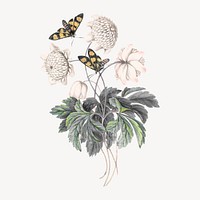 Vintage flower illustration, aesthetic butterfly graphic vector