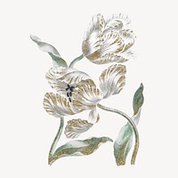 Tulip flower illustration, vintage graphic psd