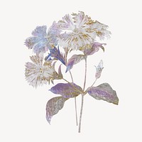 Purple flower illustration, vintage graphic vector