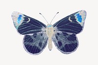 Butterfly graphic, vintage insect illustration vector