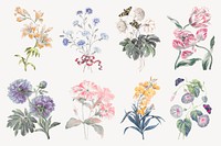 Flower illustration, vintage graphic psd set