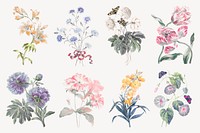 Flower illustration, vintage graphic vector set