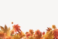 Fallen Autumn leaves background, orange aesthetic design psd