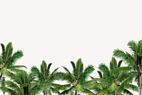 Off-white tropical background, palm leaf border psd