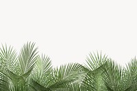 Palm leaves background, white botanical border 
