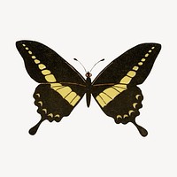 Vintage butterfly sticker, aesthetic decoration vector