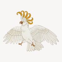 Cockatoo bird sticker, vintage animal illustration vector