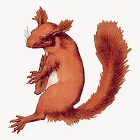 Red squirrel sticker, vintage animal illustration vector