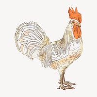 Vintage chicken sticker, farm animal illustration vector