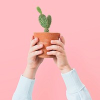 Plant parent holding potted cactus 