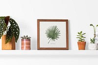 Plant shelf with a frame home decor ideas