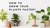 Growing plant guide template vector