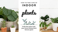 Indoor plants care template vector