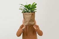 Houseplant in sustainable packaging plant delivery service