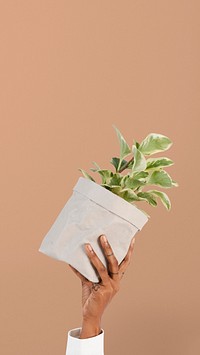 Hand holding plant save the environment campaign