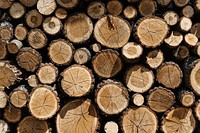 Stack of timber natural background