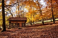 A small shack in a park in the autumn. Original public domain image from Wikimedia Commons