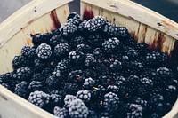 A basket full of blackberries. Original public domain image from <a href="https://commons.wikimedia.org/wiki/File:Blackberry_Basket_(Unsplash).jpg" target="_blank" rel="noopener noreferrer nofollow">Wikimedia Commons</a>