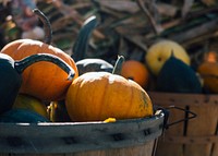 Wooden bucket of pumpkins during Halloween. Original public domain image from <a href="https://commons.wikimedia.org/wiki/File:Pumpkins_in_baskets_(Unsplash).jpg" target="_blank">Wikimedia Commons</a>