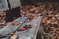 Dried Autumn-colored leaves on a wooden park bench.. Original public domain image from <a href="https://commons.wikimedia.org/wiki/File:Autumn_leaves_(Unsplash).jpg" target="_blank" rel="noopener noreferrer nofollow">Wikimedia Commons</a>