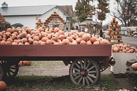 Numerous pumpkins piled up inside a giant wagon. Original public domain image from Wikimedia Commons