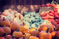 Pumpkin harvest in October. Original public domain image from <a href="https://commons.wikimedia.org/wiki/File:Avila_Valley_Barn,_San_Luis_Obispo,_United_States_(Unsplash).jpg" target="_blank">Wikimedia Commons</a>