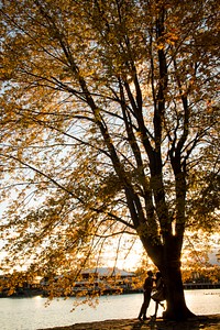 A zoomed-out couple, in silhouette, kissing against a fall tree by a lake. Original public domain image from <a href="https://commons.wikimedia.org/wiki/File:Ottawa_fall_couple_(Unsplash).jpg" target="_blank" rel="noopener noreferrer nofollow">Wikimedia Commons</a>