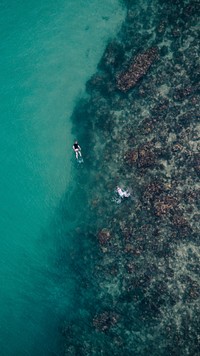 Drone aerial view of people snorkeling at the coral reef in Indonesia. Original public domain image from Wikimedia Commons