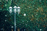 A lamp post along a hedge of greenery with winter snowfall. Original public domain image from <a href="https://commons.wikimedia.org/wiki/File:Lamp_post_with_new_snowfall_(Unsplash).jpg" target="_blank" rel="noopener noreferrer nofollow">Wikimedia Commons</a>