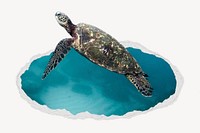 Sea turtle ripped paper badge, animal photo