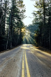 Staring down the middle of the road in a forest at Bear Head State Park Road. Original public domain image from Wikimedia Commons