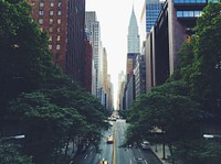 A New York City street in Midtown with trees and skyscrapers on either side. Original public domain image from <a href="https://commons.wikimedia.org/wiki/File:Downtown,_New_York,_United_States_(Unsplash).jpg" target="_blank" rel="noopener noreferrer nofollow">Wikimedia Commons</a>