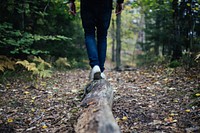 Walking across a log in the woods. Original public domain image from <a href="https://commons.wikimedia.org/wiki/File:Hiker_on_a_log_(Unsplash_r19nfvS3wY).jpg" target="_blank">Wikimedia Commons</a>