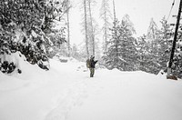 A man hiking through a forest on a snowy winter day in Shimla. Original public domain image from <a href="https://commons.wikimedia.org/wiki/File:Into_The_White_(Unsplash).jpg" target="_blank" rel="noopener noreferrer nofollow">Wikimedia Commons</a>