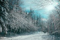 Winter season in Platak, Croatia. Original public domain image from <a href="https://commons.wikimedia.org/wiki/File:Platak,_Croatia_(Unsplash).jpg" target="_blank">Wikimedia Commons</a>