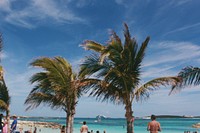 Palm trees swaying in the breeze over a crowded beach. Original public domain image from Wikimedia Commons