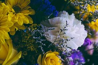 An overhead shot of a bouquet various types of decorative flowers. Original public domain image from <a href="https://commons.wikimedia.org/wiki/File:Magnificent_bouquet_from_above_(Unsplash).jpg" target="_blank" rel="noopener noreferrer nofollow">Wikimedia Commons</a>